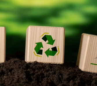 Figuras de blocos de madeira estampados com símbolos de reciclagem e outros referentes à educação ambiental em fundo verde.