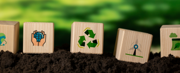 Figuras de blocos de madeira estampados com símbolos de reciclagem e outros referentes à educação ambiental em fundo verde.