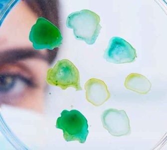Pessoa segurando uma placa de Petri que contém amostras coloridas