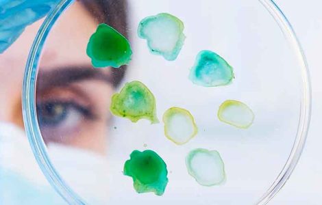 Pessoa segurando uma placa de Petri que contém amostras coloridas