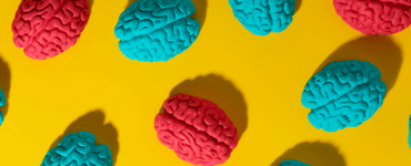 Imagem de vários cérebros humanos coloridos em um fundo amarelo vibrante