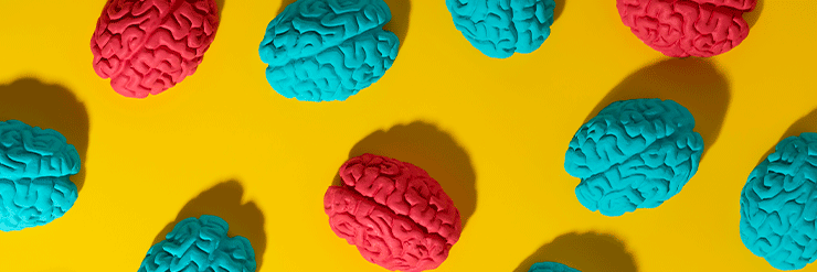 Imagem de vários cérebros humanos coloridos em um fundo amarelo vibrante