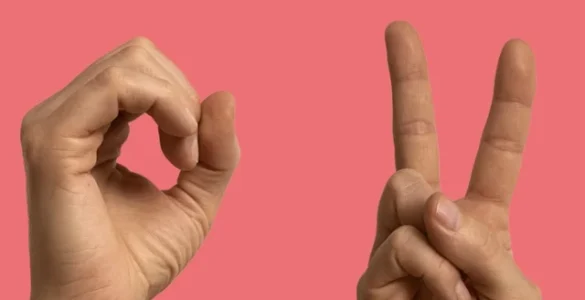 Imagem mostrando três mãos fazendo gestos em Libras (Língua Brasileira de Sinais) com um fundo rosa.