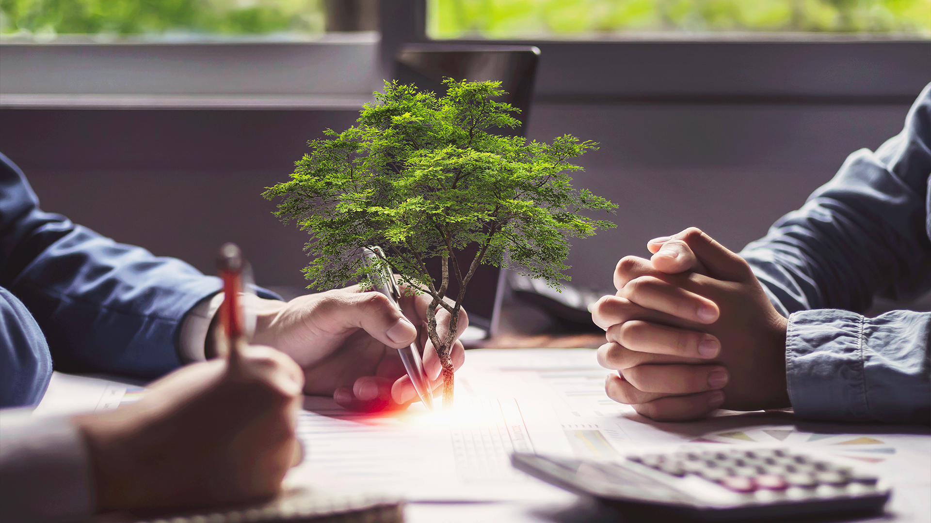 Duas pessoas discutem plano com árvore surgindo de documentos, simbolizando sustentabilidade empresarial.