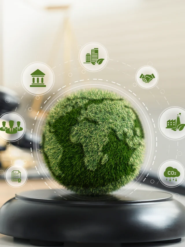 Direito Ambiental: O Que Estudar Para Se Destacar no Mercado?