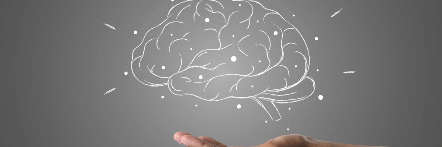 Mão sustentando um cérebro desenhado com conexões, simbolizando inteligência ou neuromarketing.