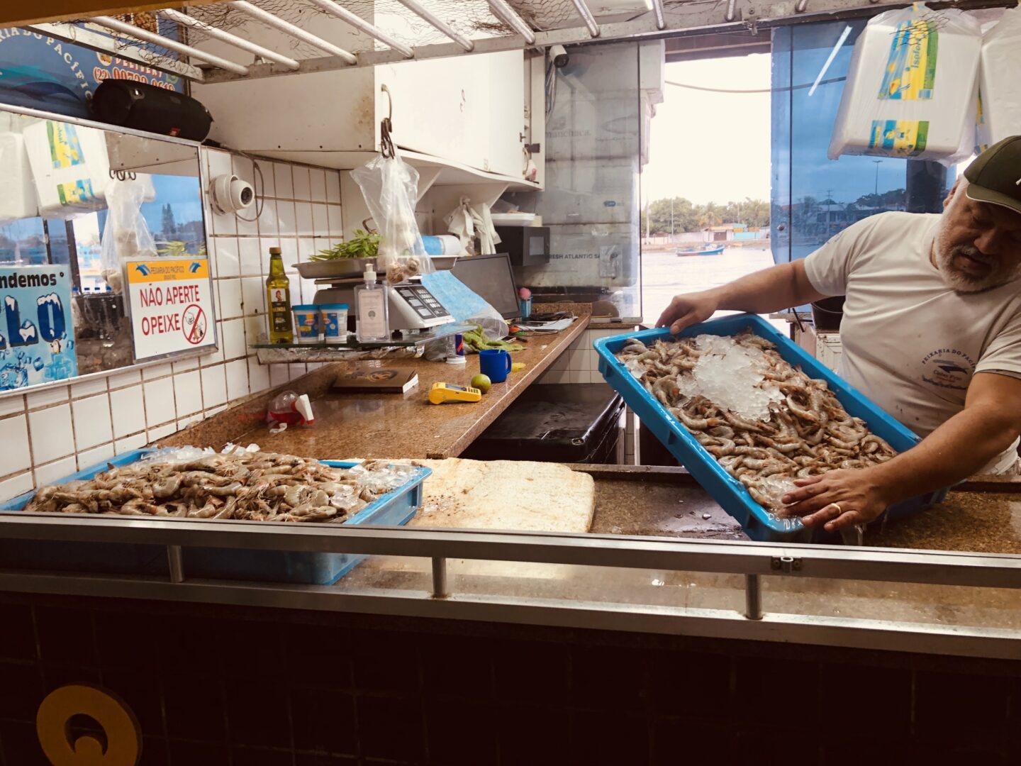 Limpeza, armazenamento e venda no Mercado de Peixe de Cabo Frio.