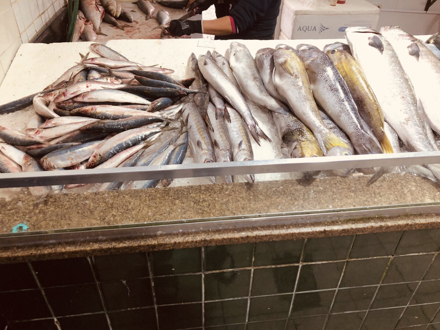 Foto do Mercado de Peixe, que é quase um ponto turístico, sendo parte da história, da economia e da cultura de Cabo Frio.