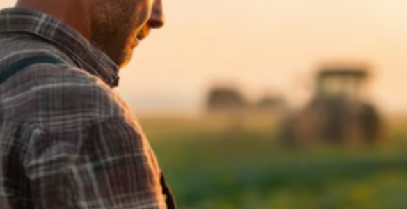 cropped-Agro07.png