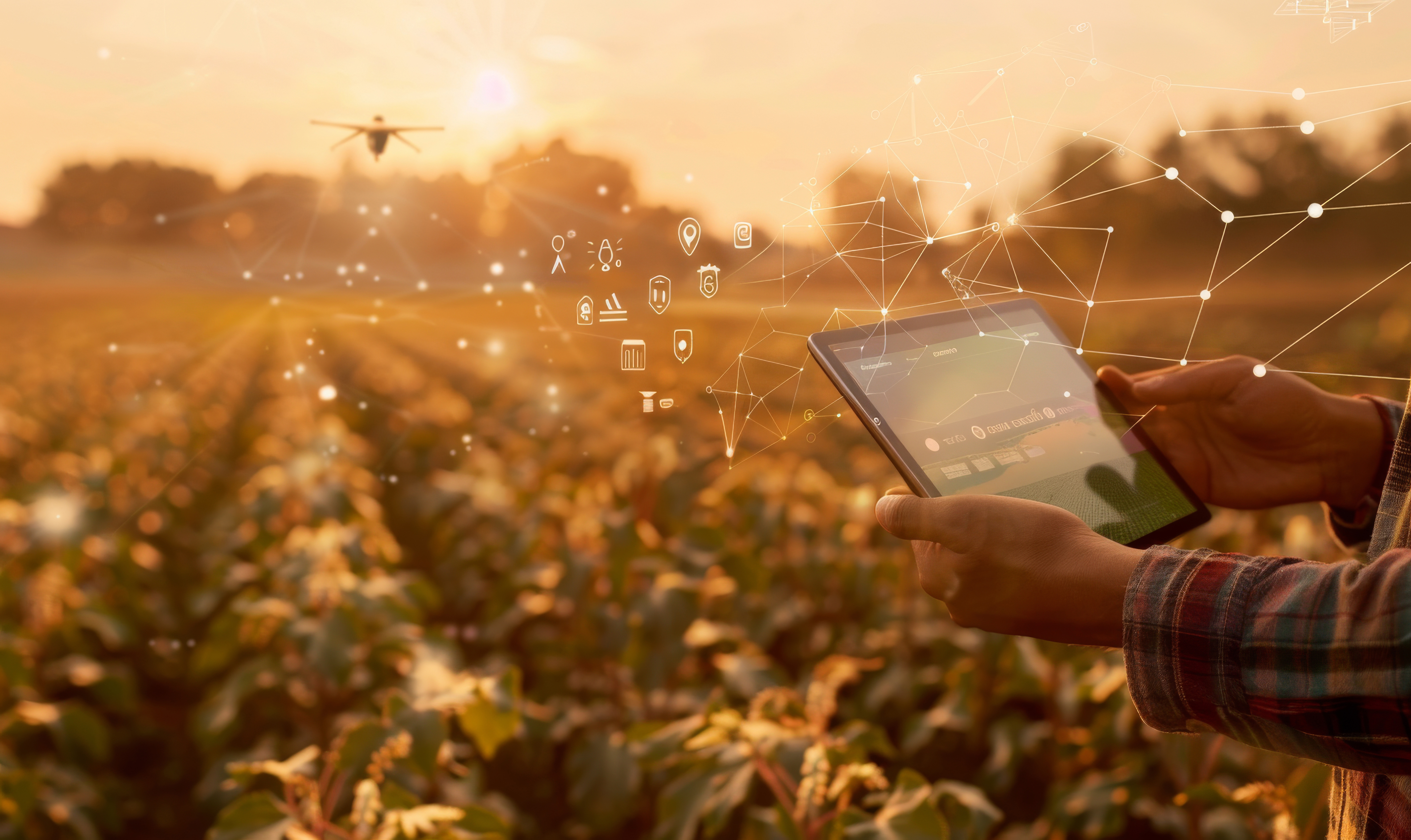 farmer using tablet in vegetable field to investigate crop healt
