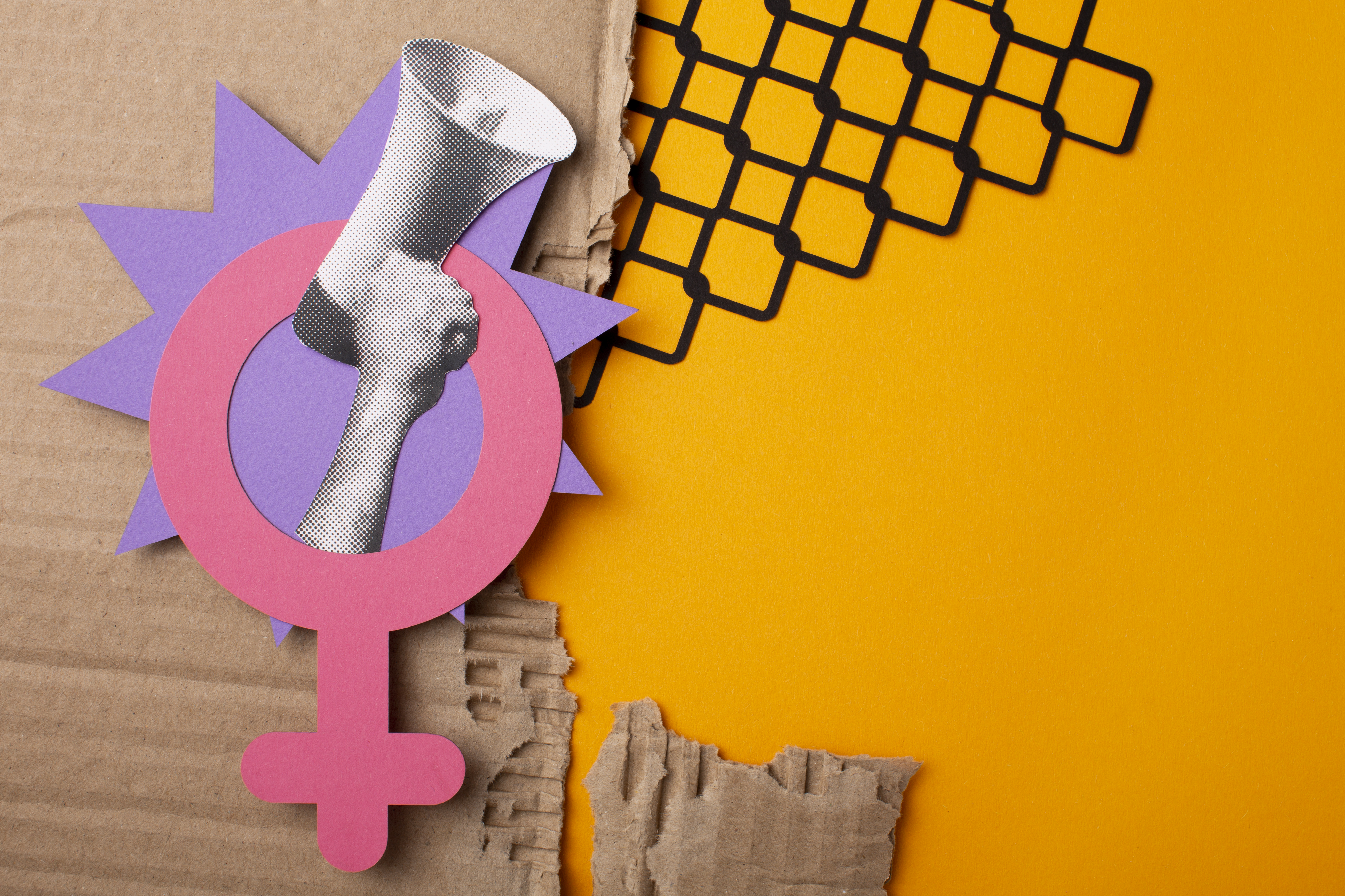Direito das Mulheres e Enfrentamento à Violência-10